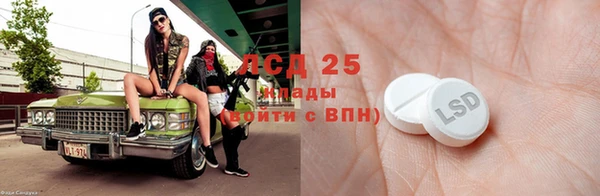 ГАЛЛЮЦИНОГЕННЫЕ ГРИБЫ Верея