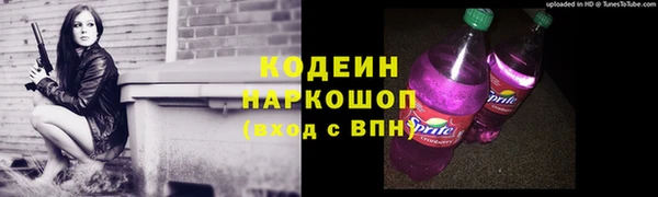 ГАЛЛЮЦИНОГЕННЫЕ ГРИБЫ Верея