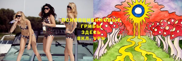 ГАЛЛЮЦИНОГЕННЫЕ ГРИБЫ Верея