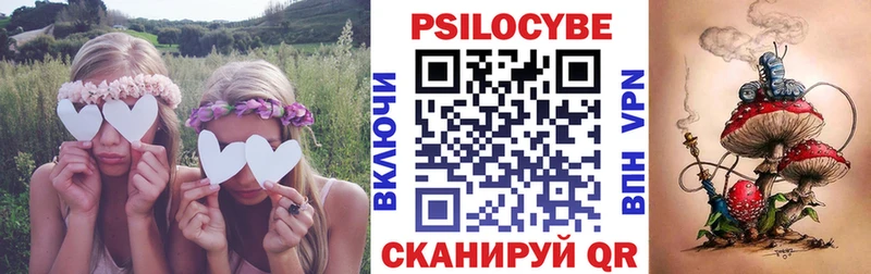 mega ссылка Волгодонск Галлюциногенные грибы Psilocybine cubensis даркнет сайт